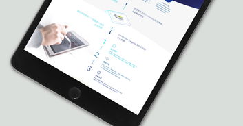 斯卓信息技术 上海 高端网站建设案例 上海雍熙